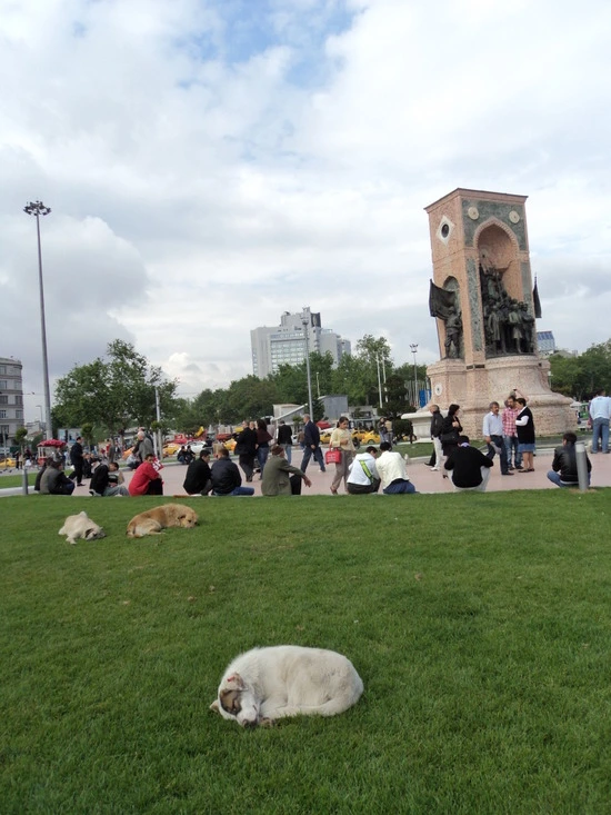 dsc00015_taejungsmin.jpg?type=w2