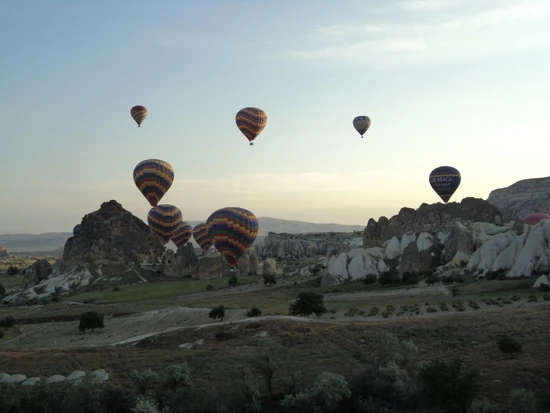 dsc01582_taejungsmin.jpg?type=w2