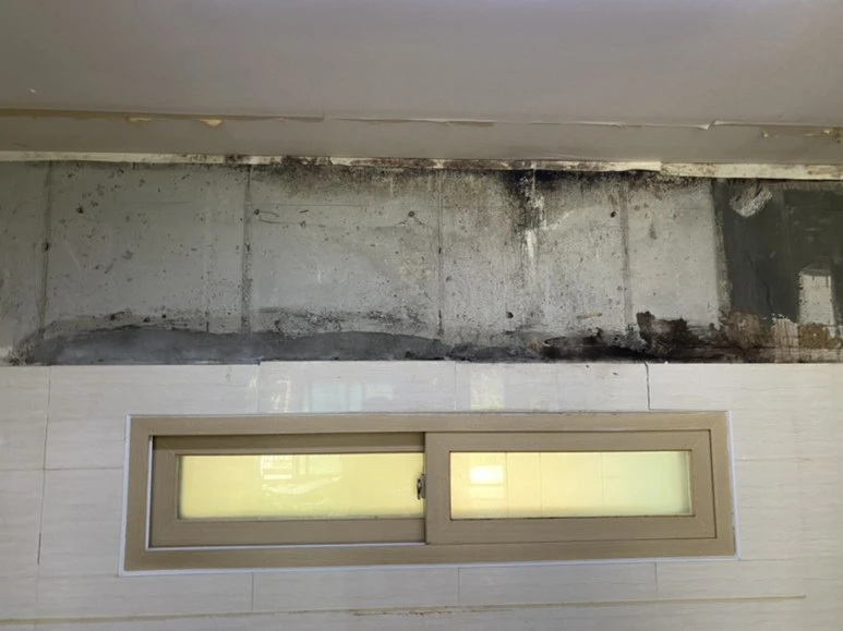 IMG_7444.jpg?type=w773