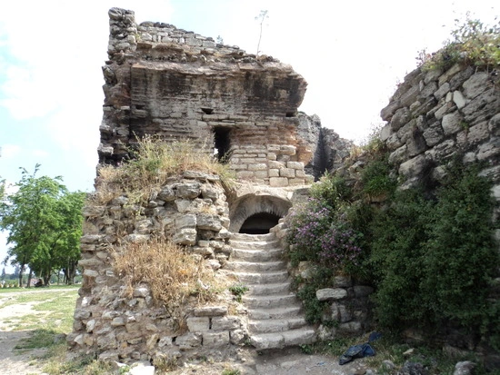 dsc00455_taejungsmin.jpg?type=w2