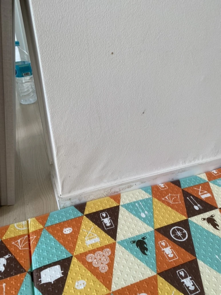 IMG_8111.jpg?type=w773