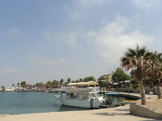 dsc01915_taejungsmin.jpg?type=w2