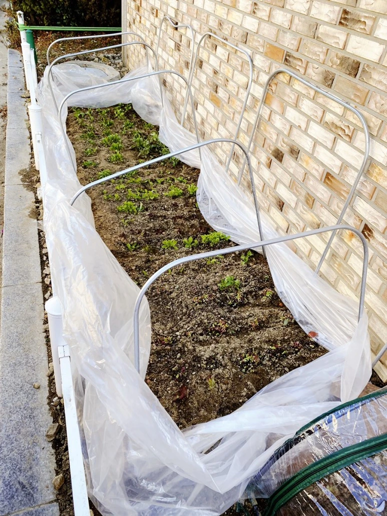 output_195695506.jpg?type=w773