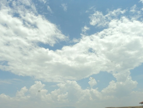 dsc03590_taejungsmin.jpg?type=w2