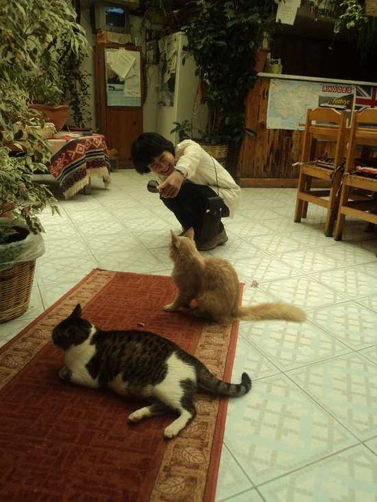 dsc03048_taejungsmin.jpg?type=w2