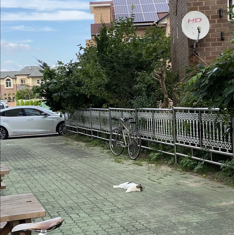 output_3602674714.jpg?type=w773