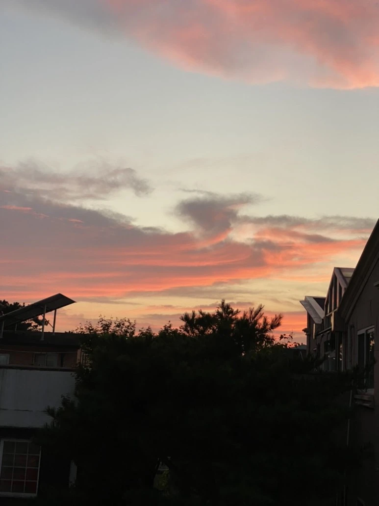 IMG_8229.jpg?type=w773