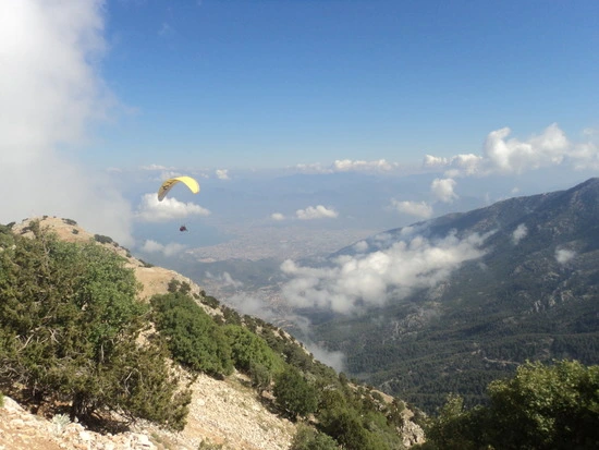 dsc02972_taejungsmin.jpg?type=w2