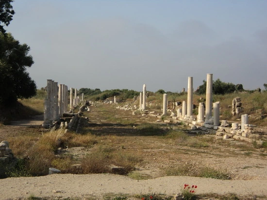 dsc01852_taejungsmin.jpg?type=w2