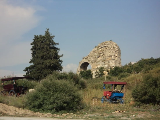 dsc03361_taejungsmin.jpg?type=w2