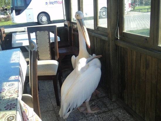 dsc03191_taejungsmin.jpg?type=w2