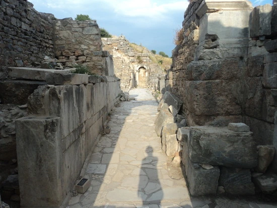 dsc03518_taejungsmin.jpg?type=w2