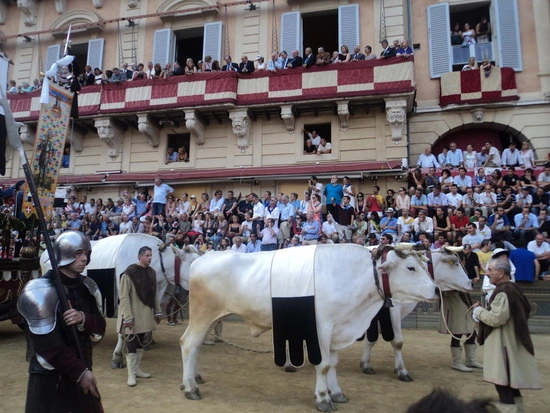 dsc06230_taejungsmin.jpg?type=w2