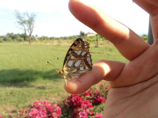 dsc05906_taejungsmin.jpg?type=w2