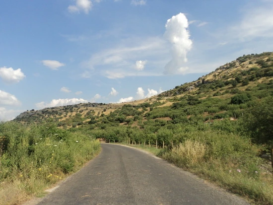 dsc03347_taejungsmin.jpg?type=w2