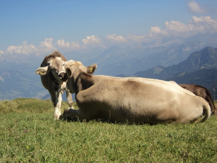 dsc08453_taejungsmin.jpg?type=w2