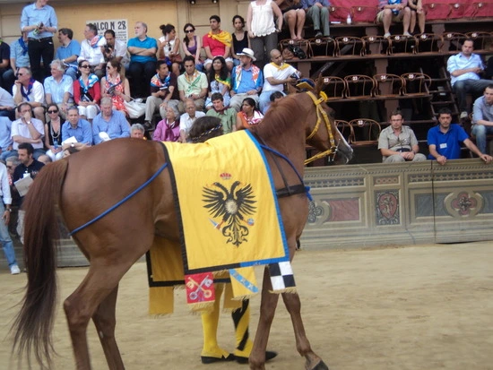 dsc06204_taejungsmin.jpg?type=w2