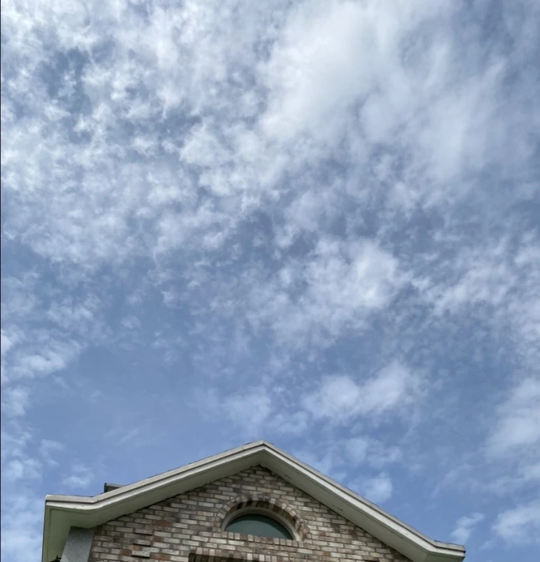 output_3544381853.jpg?type=w773