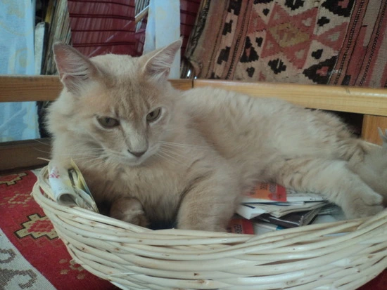 dsc02928_taejungsmin.jpg?type=w2