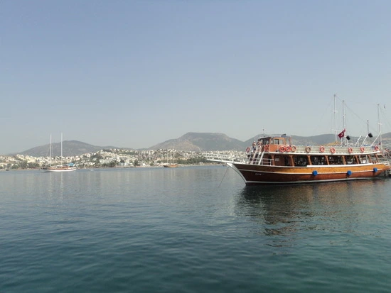 dsc04259_taejungsmin.jpg?type=w2