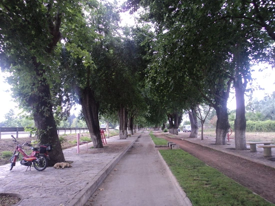 dsc03308_taejungsmin.jpg?type=w2