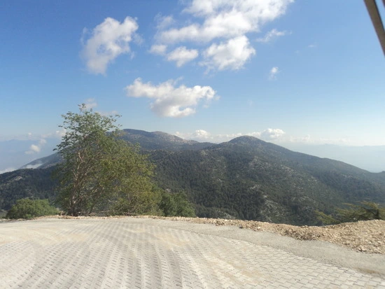 dsc02960_taejungsmin.jpg?type=w2