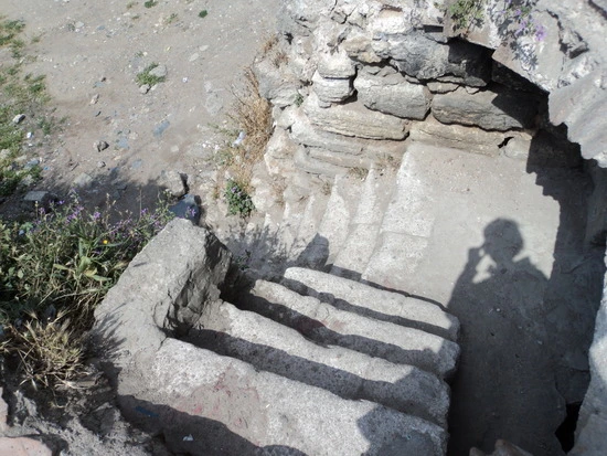 dsc00459_taejungsmin.jpg?type=w2