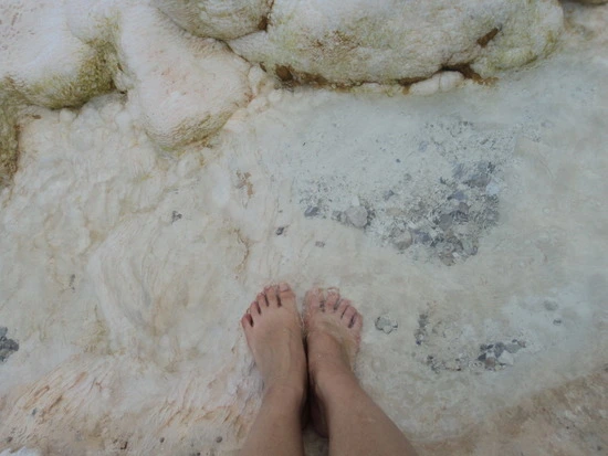 dsc03600_taejungsmin.jpg?type=w2