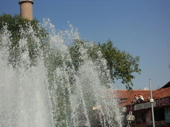 dsc00953_taejungsmin.jpg?type=w2