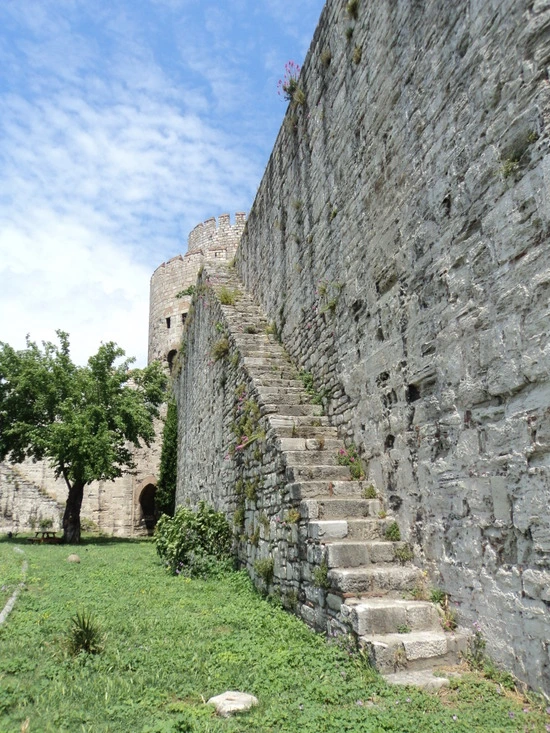 dsc00518_taejungsmin.jpg?type=w2