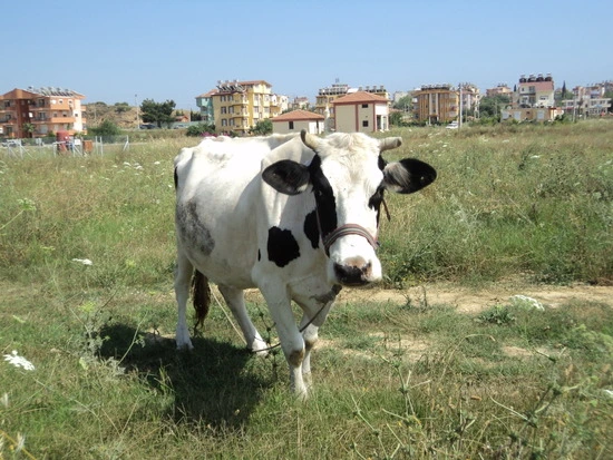 dsc02019_taejungsmin.jpg?type=w2