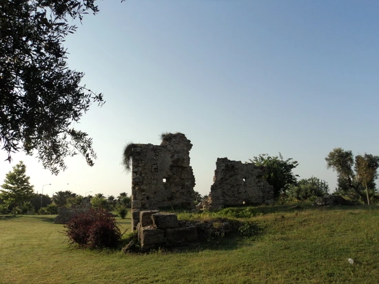 dsc01849_taejungsmin.jpg?type=w2