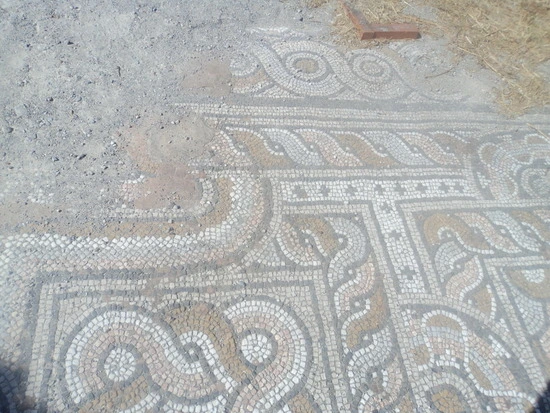 dsc04452_taejungsmin.jpg?type=w2