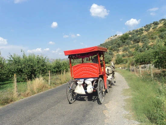 dsc03349_taejungsmin.jpg?type=w2