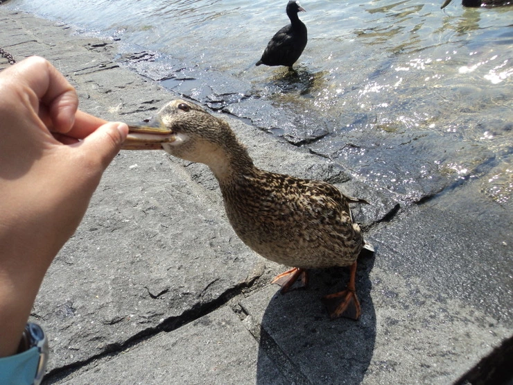 dsc08473_taejungsmin.jpg?type=w2