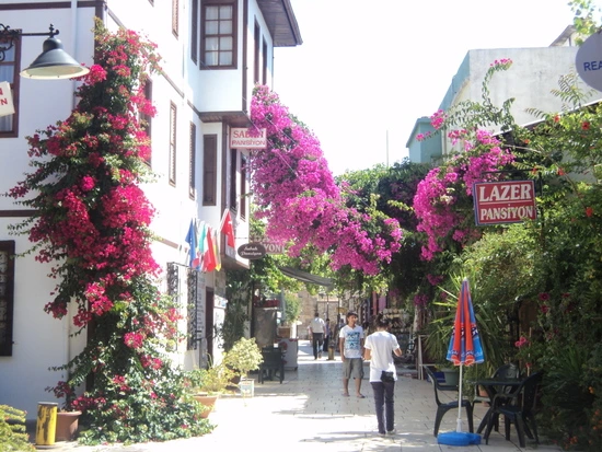 dsc03675_taejungsmin.jpg?type=w2