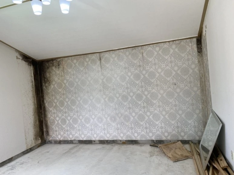 IMG_7455.jpg?type=w773