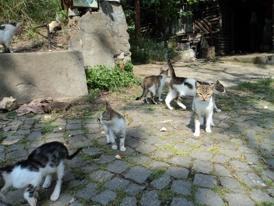 dsc00732_taejungsmin.jpg?type=w2