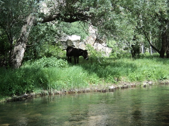 dsc01458_taejungsmin.jpg?type=w2