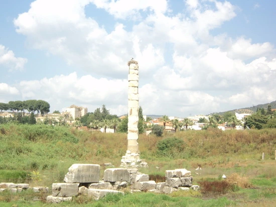 dsc03321_taejungsmin.jpg?type=w2