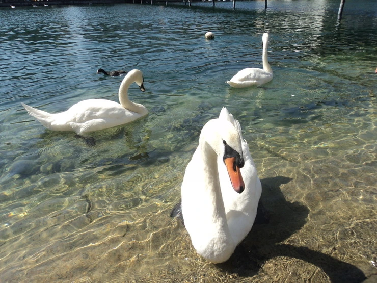 dsc08246_taejungsmin.jpg?type=w2