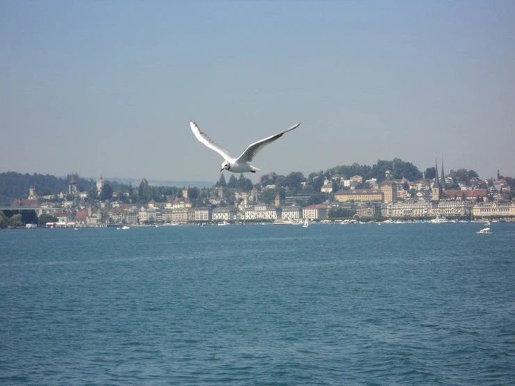 dsc08293_taejungsmin.jpg?type=w2