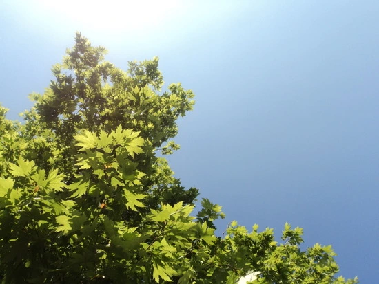 dsc00950_taejungsmin.jpg?type=w2