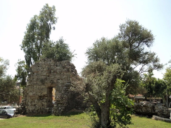 dsc02005_taejungsmin.jpg?type=w2