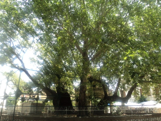 dsc04298_taejungsmin.jpg?type=w2