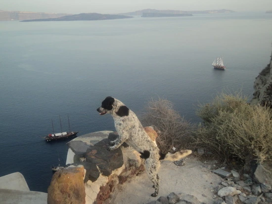 dsc04579_taejungsmin.jpg?type=w2