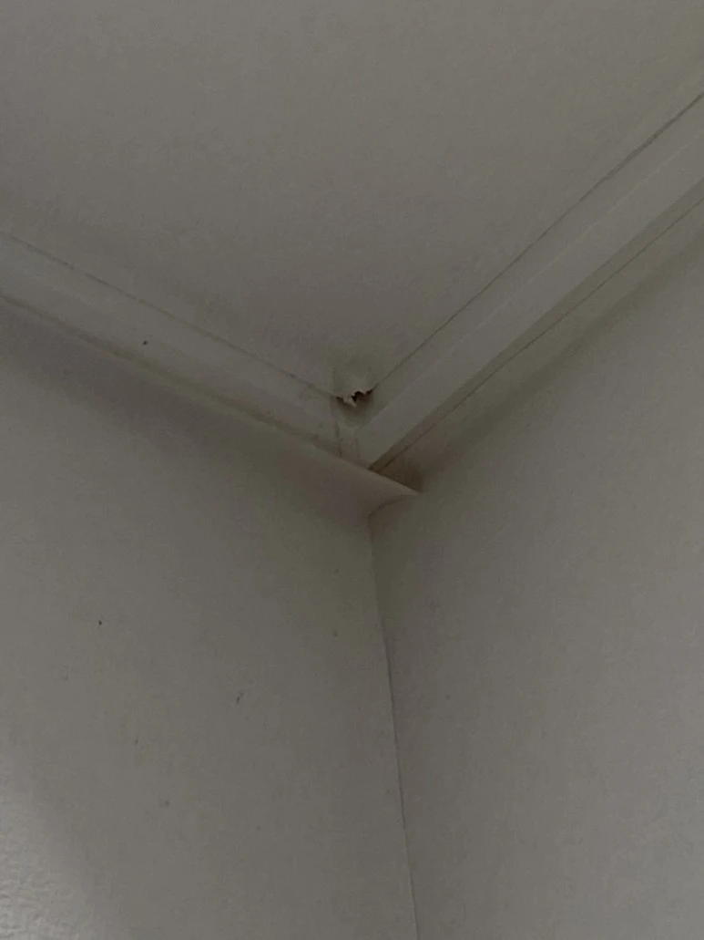 IMG_8116.jpg?type=w773