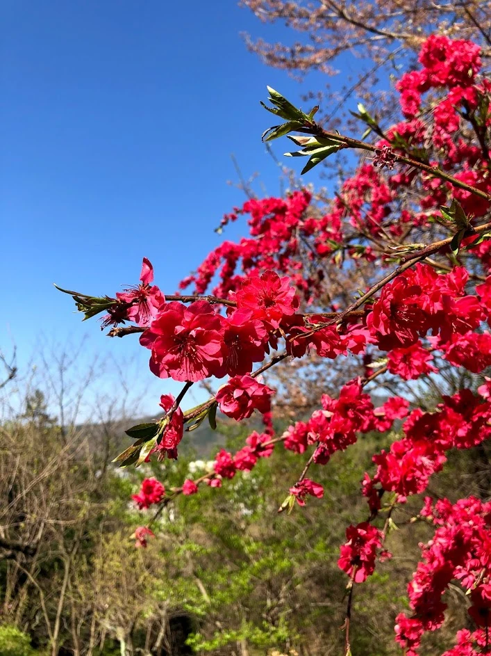 SYrnYZMIO-l28ciMvGkhIHIsYLLFIa6acFsynftScU9JMLL3dw8E7WpuPoSZwybOV7yfkG8E73g4u0UBFU87UjuPpGKYK7PDRFe1h5YNThvXT_igo2VKotcUsHTabiNsxBYQuIM-qDevl4mDsRZ67UORUfoGGDnoa48DP6osi7TuA2hG2oUu-J-7o6l327RxiNZ7J5uTFxpAFXfH0oCRUSruEKEDSRcGRm5yo17YUHFvcZYNvTaMh2ID-LlHrtzQVcJPiu_Tik6gNfm2ljAbERN9tJIKlEDAJ6_8aRNtzF5v9IEYU4_evG5IpVaogGa_rurD53VYcS8ZuJhVIX7_Y3-LAbYuEzua5NWMjg5cY16i0Z8RxBWR-3Nyh0m3gpCENeNFdOhqpC0G7IwYUr_DFBy5Ci-yJUqNWGTDTO0rIhCkyZgMu623--N2Ycr9yZmjO9GyqOlvYwFLcdiRH81VZiP0HoZmEv9UZrEneiiKRfY9pRH_RCK9Uoz92jbE5s_WPZHxJsWT3mnn8lceMN9h9X8nDlWDQRXTNuOopHnpcUds6JriQ1ksDwkrfEIaPwIqJ-G1-4xWC5q7smispCws0voOy6jq6o1v1eFFFUOVaI7ZweVnI90dv0XTNtaPUZpJEer3R1yXNAuQ5YUMTfncN9ZxPfSWJuWPyDLo7TItBBIA8F6phgeoVCCSUlI1Kw=w708-h943-no?authuser=1