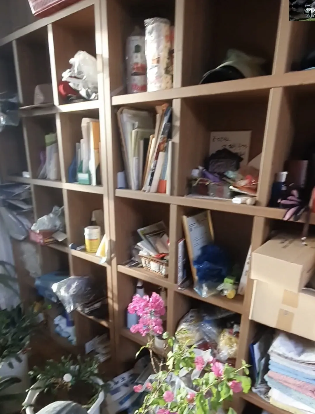 Screenshot_20241209_092136_Gallery.jpg?type=w1600