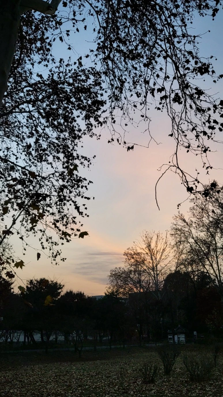 20221121%EF%BC%BF172023.jpg?type=w773